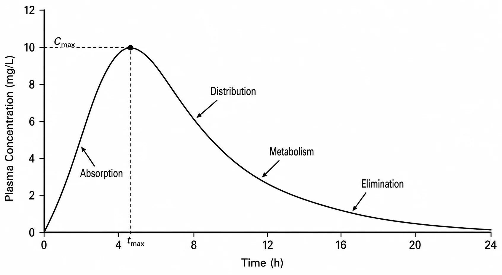 Koncentrations-tids-kurva med markerade ADME-faser: absorption, distribution, metabolism och elimination.